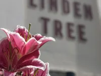 Linden Tree Hotels in Gloucester District