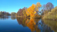 Ferienwohnung Brunow "In der Natur Zuhause" Hotels in Seenplatte