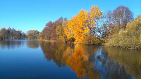 Ferienwohnung Brunow "In der Natur Zuhause" Отели в г. Цойленрода-Трибес