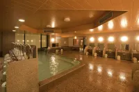 Miyazaki Kanko Hotel - gimnasio