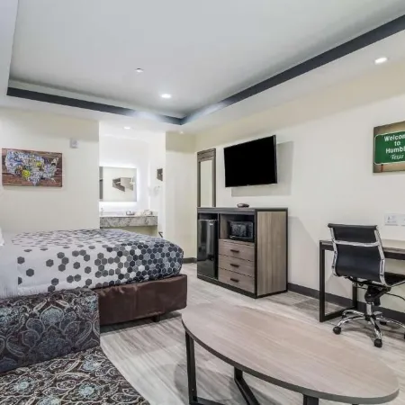 Regency Inn & Suites Humble FM1960 - IAH Airport