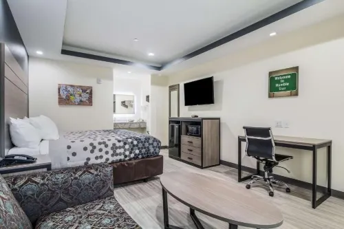 Regency Inn & Suites Humble FM1960 - IAH Airport