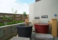 Route Inn Grantia Aoshima Taiyokaku - spa