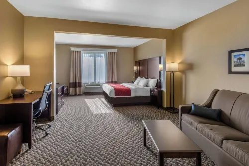 Comfort Suites - Pet friendly