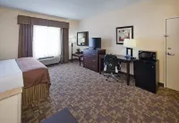 Holiday Inn LINCOLN SOUTHWEST by IHG - bar