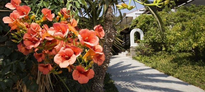 Spathies Hotels in Dimos Sithonia