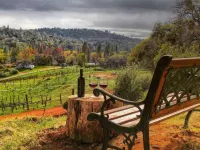 Papillon Cellars - the Loft Hotels in Mariposa
