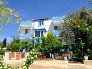 THE COTTON HOUSE