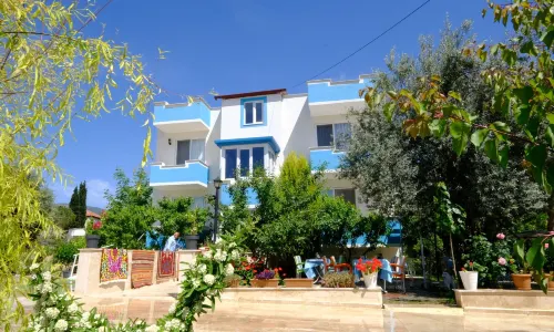 THE COTTON HOUSE