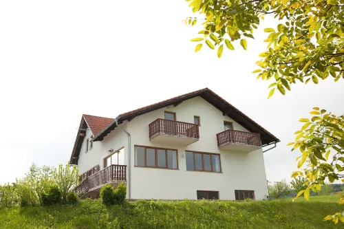 Guesthouse Žafran Hotels in Čatrnja