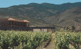 Finca Tre Hotel and Villas Resort