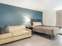 伍德斯普林套房東蘭辛 - 大學區 蘭辛酒店