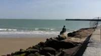 The Wycliffe Hotels in Folkestone
