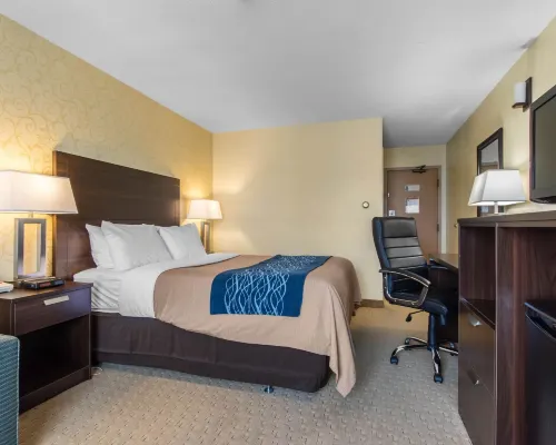 舒適酒店 三河城酒店