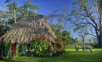 Banana Bank Lodge