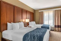 Comfort Inn & Suites El Dorado Hotels in El Dorado