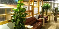 Mori No Guest House - Hostel Hôtels à : Tenri