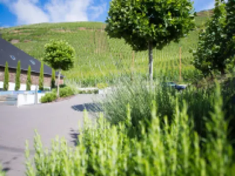 Gästehaus C.H.Berres Ürzig-Mosel Hotels in Urzig