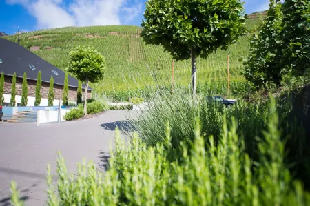 Gästehaus C.H.Berres Ürzig-Mosel Отели рядом с достопримечательностью «Golden Nugget»