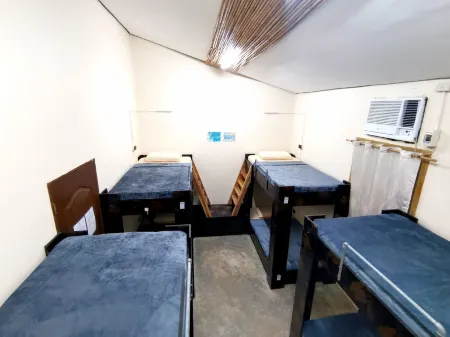 Big Paul Hostel