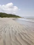 阿布斯海灘度假村 - 酒吧
