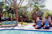 Barnstormers Rest - مسبح