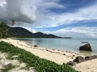 達爾和甜蜜飯店 - 海景