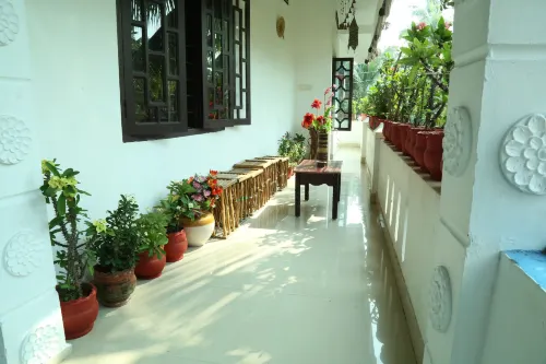 Dream Catcher Home Stay - Kitchenette