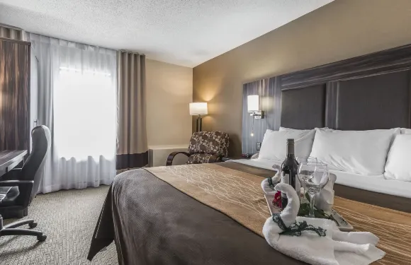 特倫頓舒適酒店