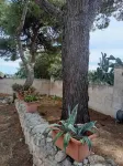Masseria Belvedere Hotels in Monti D'arena-bosco Caggione