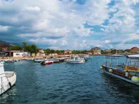 Apartments Branka Hotels in Starigrad