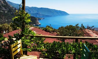 Deep Ocean Camping-Adults Only