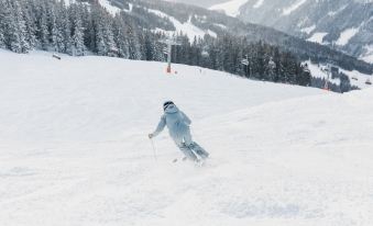 Vaya Zillertal Inklusive Gästekarte Erste Ferienregion Zillertal