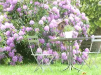 Château Bily B&B Hôtel - Pensions