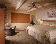 Desert Isle of Palm Springs