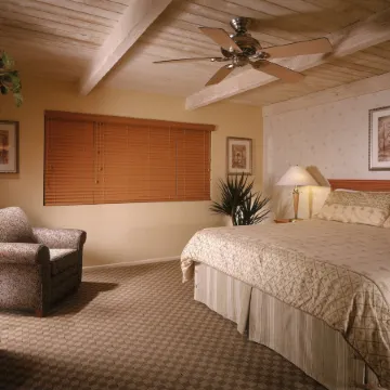 Desert Isle of Palm Springs