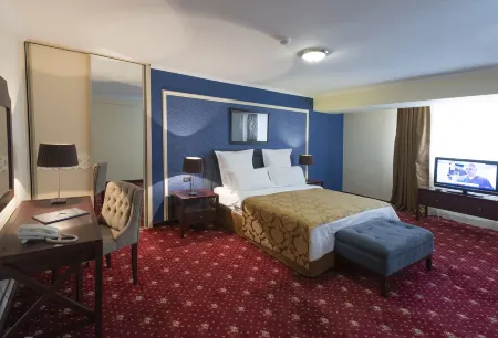Ani Plaza Hotel