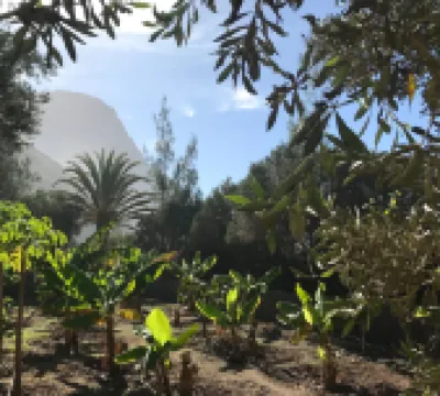 Redondo de Guayedra