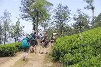 매지컬 마운틴 리조트 쿠루위타 호텔