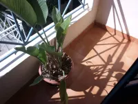 Kitui Premier Resort Hotels in Kitui