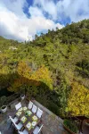 Troodos Riverside Cottage Hotels in 