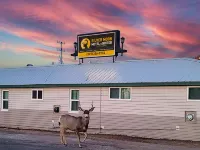 Snowy Mountain Inn