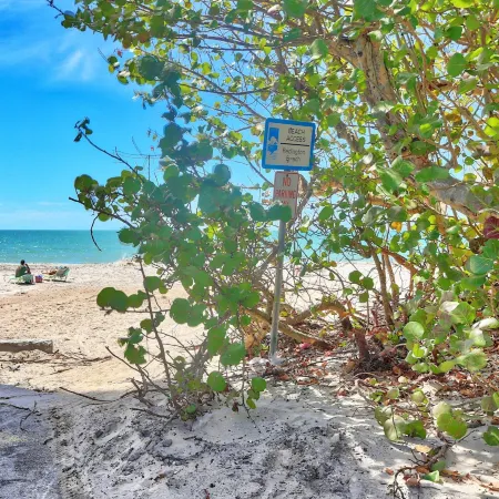 Azul Townhomes A5