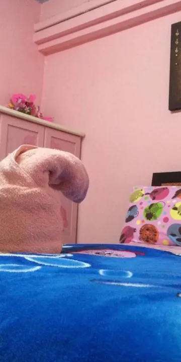 ห้องสแตนดาร์ด เตียงใหญ่ 1 เตียง