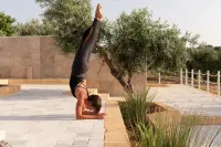 Momentum Wellness Bioresort - Gym