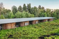 Cava Colchagua Hotel Boutique Hotele w: 