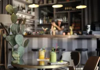 Novotel Marrakech Hivernage - bar
