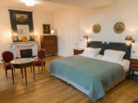 Château du Rondon โรงแรมในOlivet