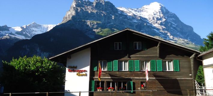 Tschuggen Apartment - No Kitchen Hotele w: Grindelwald