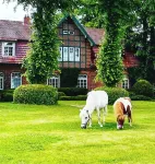Hotel Hof Kirchhorst Các khách sạn ở GroB Wittensee